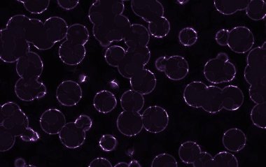 Bokeh efektli soyut arkaplan