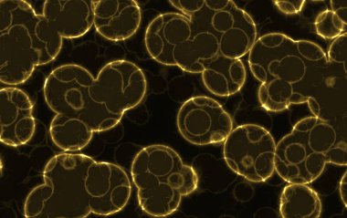 Metin için alanı olan soyut arkaplan