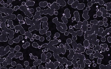 Metin için alanı olan soyut arkaplan