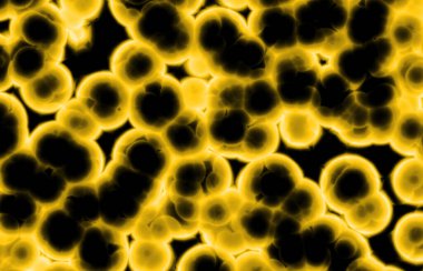 Metin için alanı olan soyut arkaplan