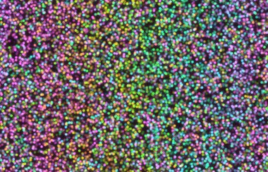 soyut renkli arkaplan, alanı kopyala