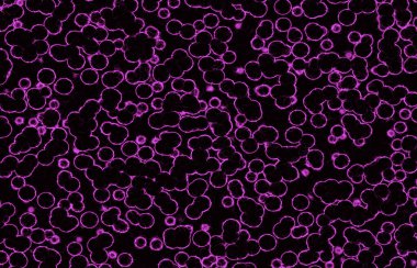 Renklerin, dokuların ve ilginç desenlerin mükemmel bir karışımına sahip soyut bir arkaplan