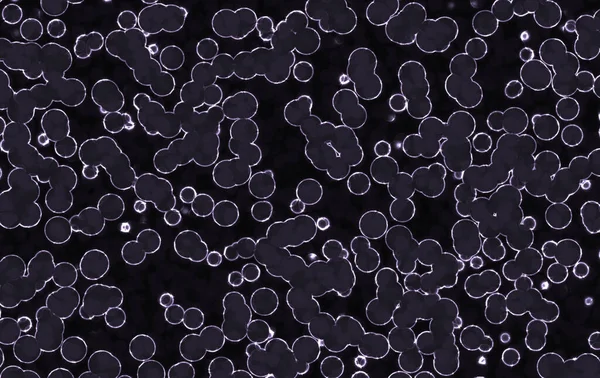 Metin için alanı olan soyut arkaplan