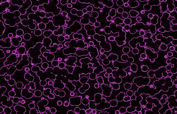 Renklerin, dokuların ve ilginç desenlerin mükemmel bir karışımına sahip soyut bir arkaplan