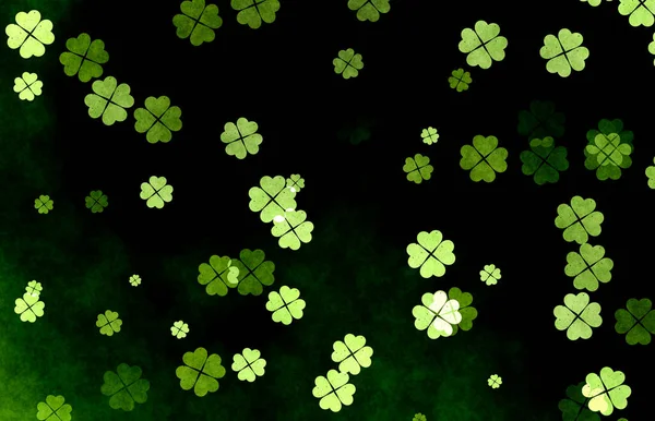 Clover Leaves Black Background — Stock Photo, Image