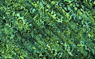 yeşil yosun dokusu, soyut arkaplan, kopyalama alanı