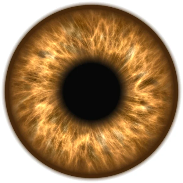 Siyah beyaz çizimli kadın gözleri.