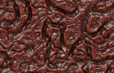 Kırmızı ve beyaz domatesleri kapatın.