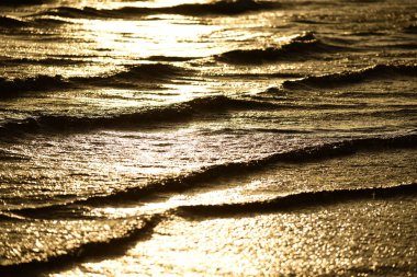 Sahilde güzel deniz dalgaları