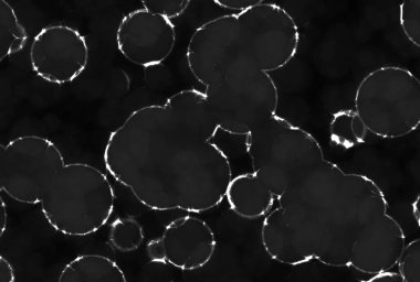 parşömen kağıt harf haritası