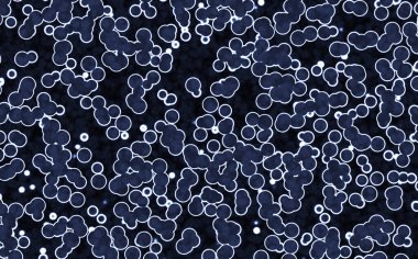 bakteriler yuvarlak hücreler