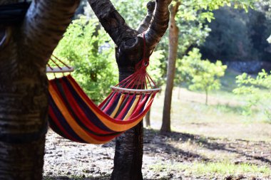 Araba oyuncağı. Kırık şişe 