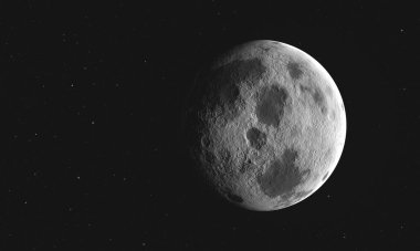 Yıldızlı gezegen ayı