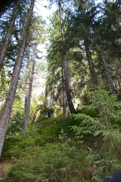 Çek Cumhuriyeti 'nin Broumov Highlands bölgesindeki Adrspach Teplice Rocks peyzaj parkındaki yüksek kayalar, ulusal park