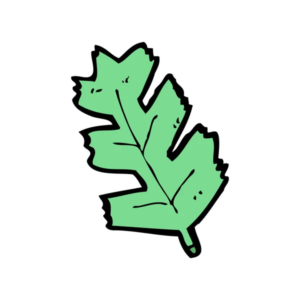 Cartoon leaf — Stock Vector