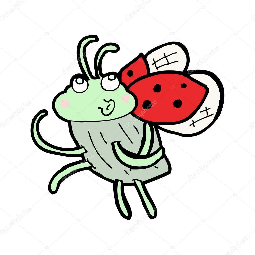 Red Ladybug Beetle