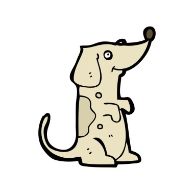 köpek yalvarıyor