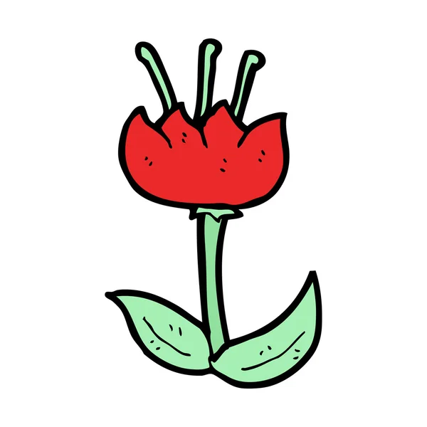 Red tulip flower — Stock vektor