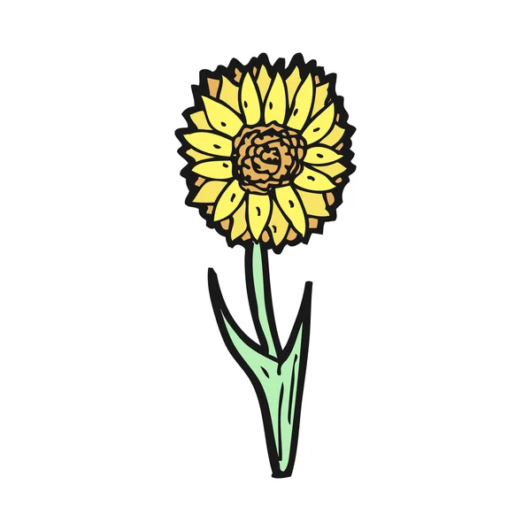 Sunflower cartoon — Stock Vector