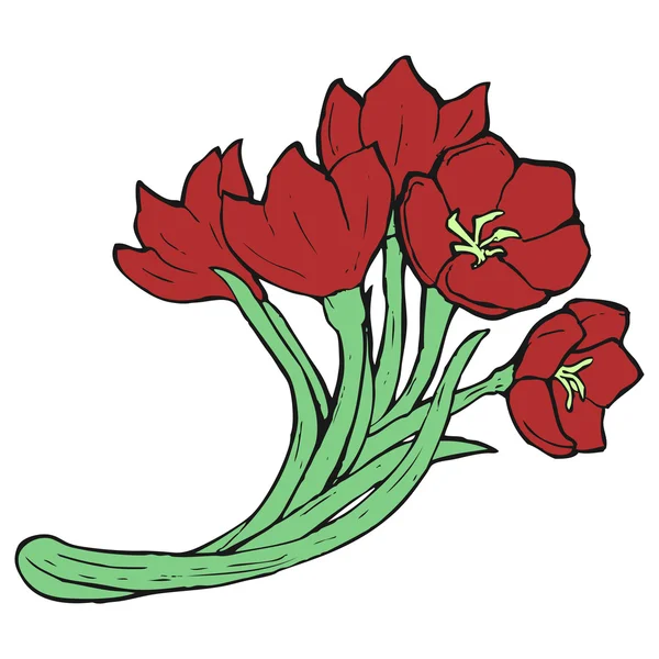 Red tulips illustration — Stock Vector