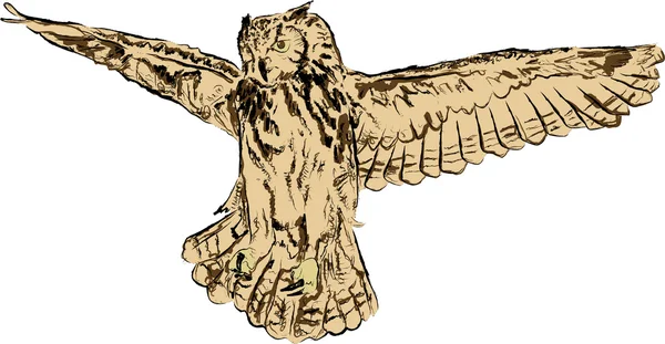 Рисунок летающей совы — стоковый вектор