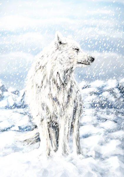 Wolf painting — Stock Photo, Image