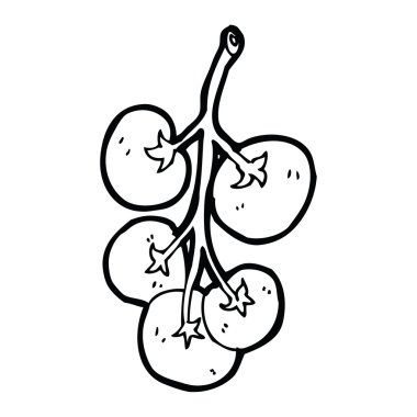 karikatür üzüm domates