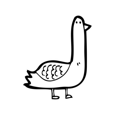 komik güvercin karikatür