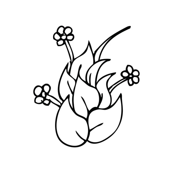 Blommor ritning — Stock vektor