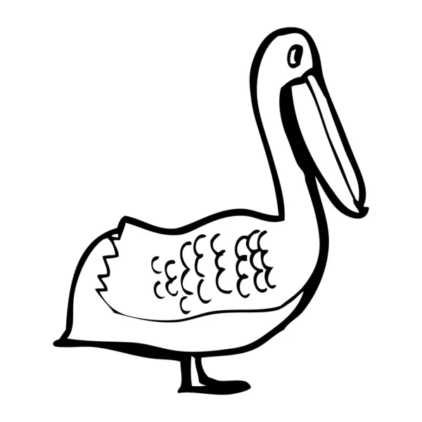 Cartoon pelican — Stock Vector