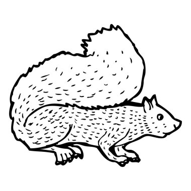 Sincap illüstrasyon (raster sürüm)