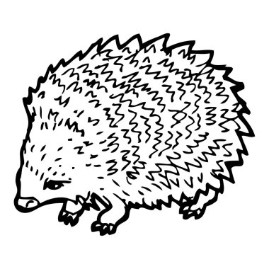 Kirpi illüstrasyon (raster sürüm)