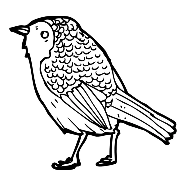 Ilustración de aves de jardín — Archivo Imágenes Vectoriales