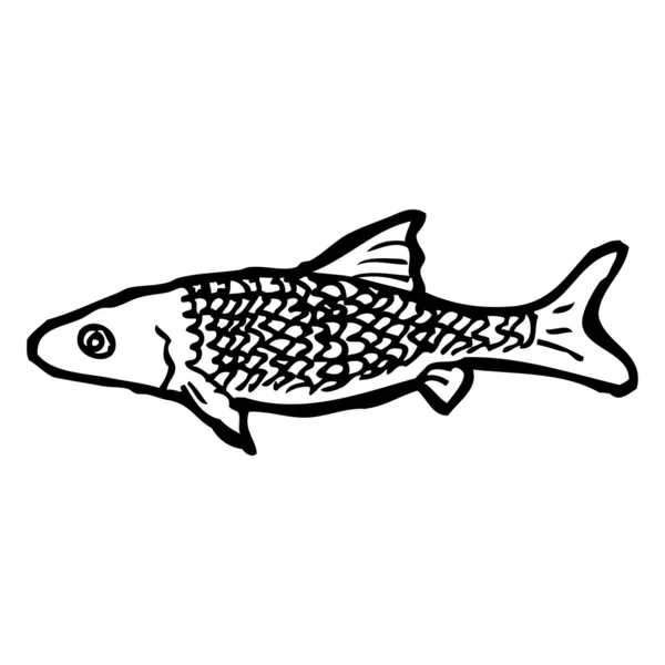 Vektor, ikan kartun pada latar belakang putih — Stok Ilustrasi Ikan Kartun - Stok Vektor