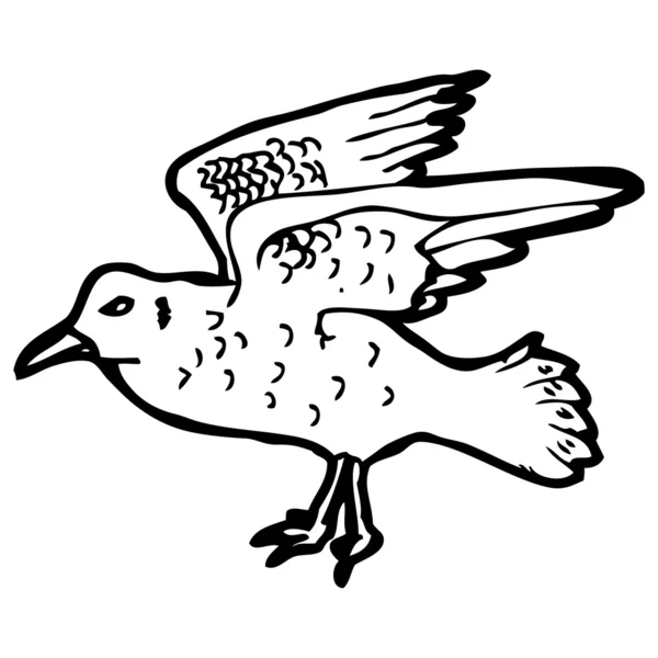 Seagull illustration — Stock Vector