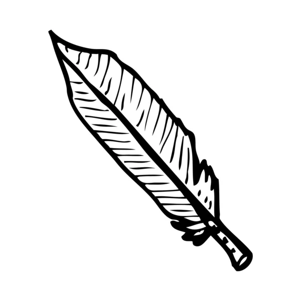 Ilustración de pluma — Vector de stock