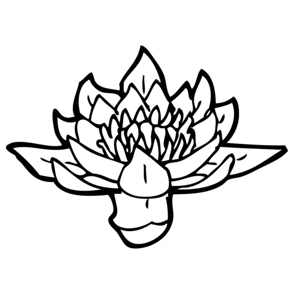 Waterlily illustration — Stock Vector