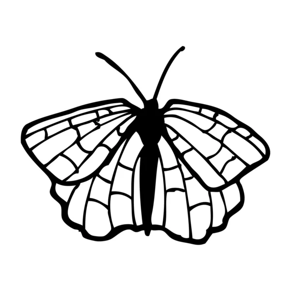 Mariposa de dibujos animados — Vector de stock