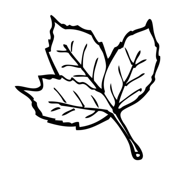Leaf illustration (raster version) — Stock Vector