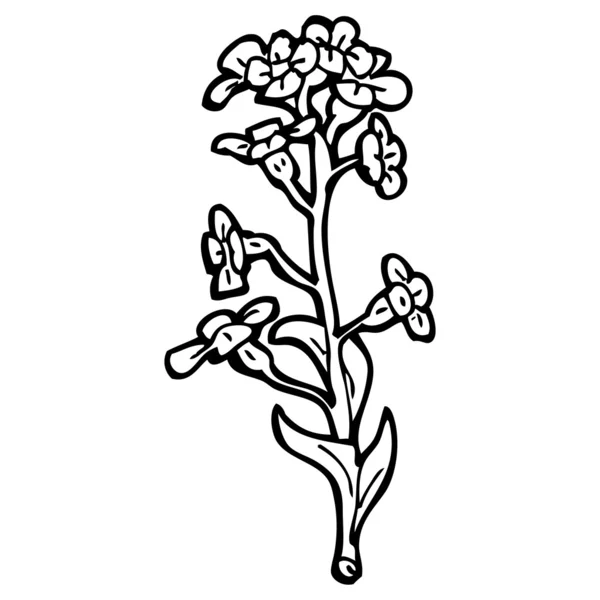 Ilustración de flores silvestres (versión raster ) — Archivo Imágenes Vectoriales