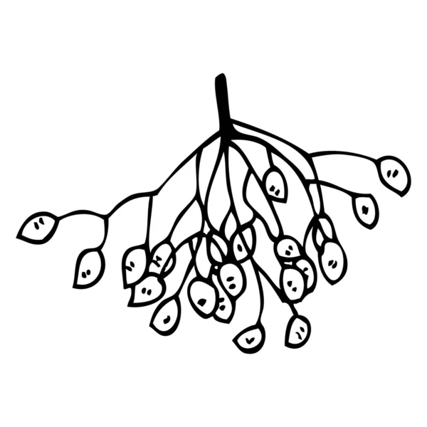 Zimní bobule ilustrace (rastrová verze) — Stockový vektor