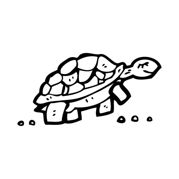 Cartoon tortoise — Stock Vector