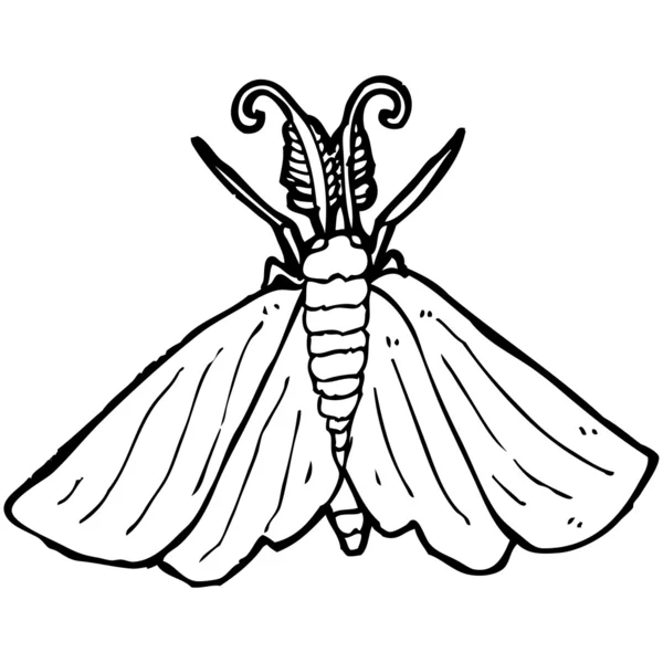 Moth cartoon — Stock Vector