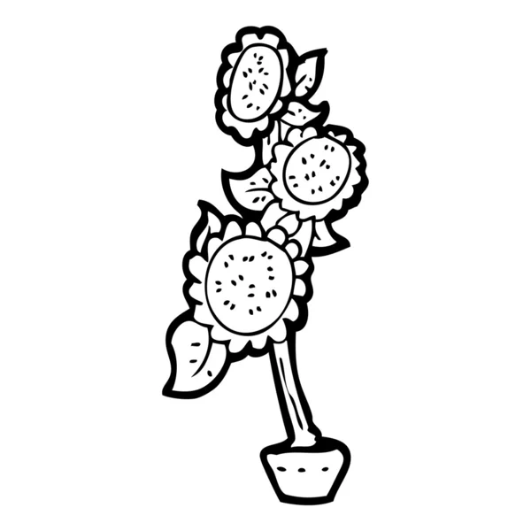 Sunflowers cartoon — Stock Vector