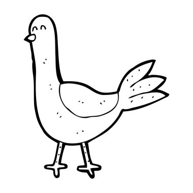 Güvercin karikatür