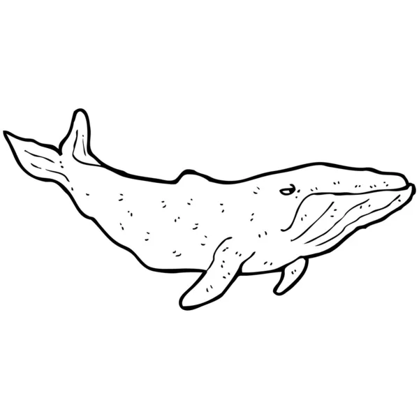 Ballena de dibujos animados — Vector de stock