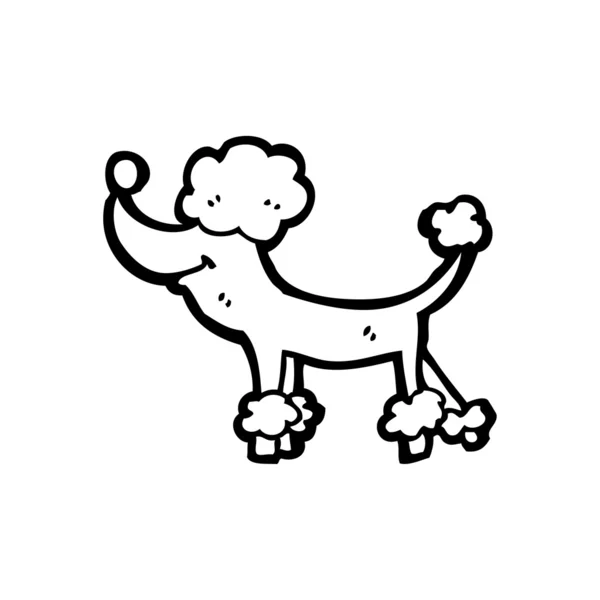 Desenho animado poodle —  Vetores de Stock