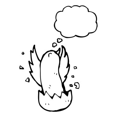 deniz hayvanı kabuğu patlama kuş