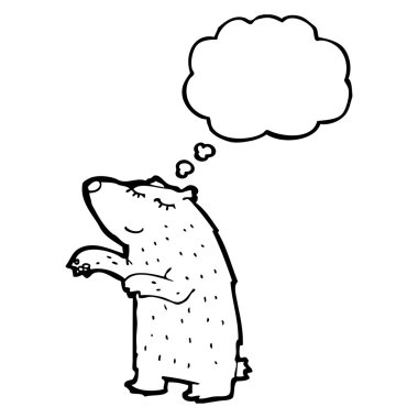 Güzel kutup ayısı