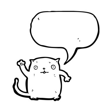 kedi sallayarak